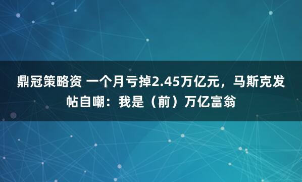 鼎冠策略资 一个月亏掉2.45万亿元，马斯克发帖自嘲：我是（前）万亿富翁